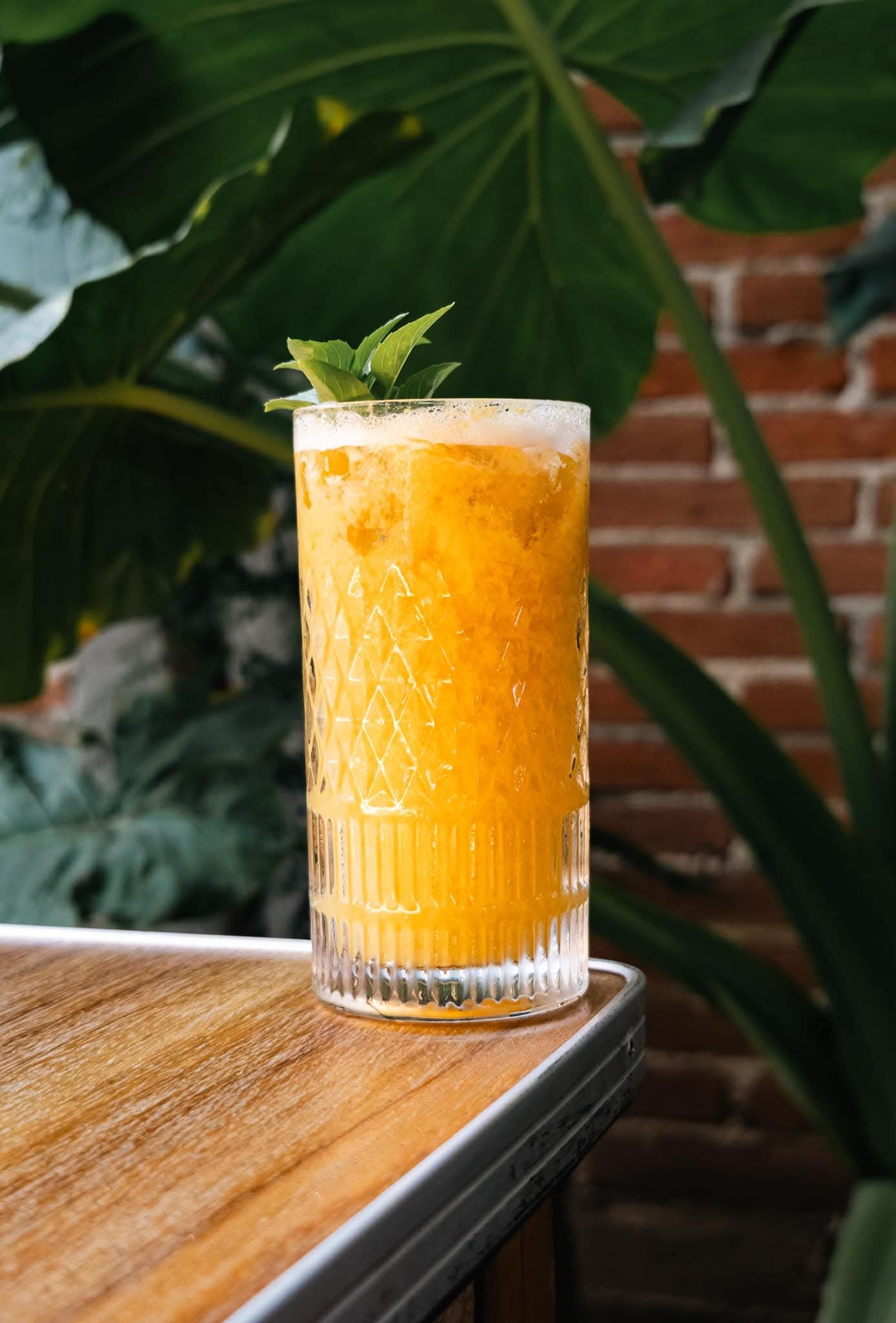 Bebida refrescante